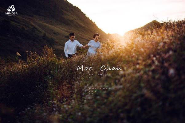 chụp ảnh cưới tại mộc châu