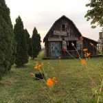 phim truong rose garden bac giang