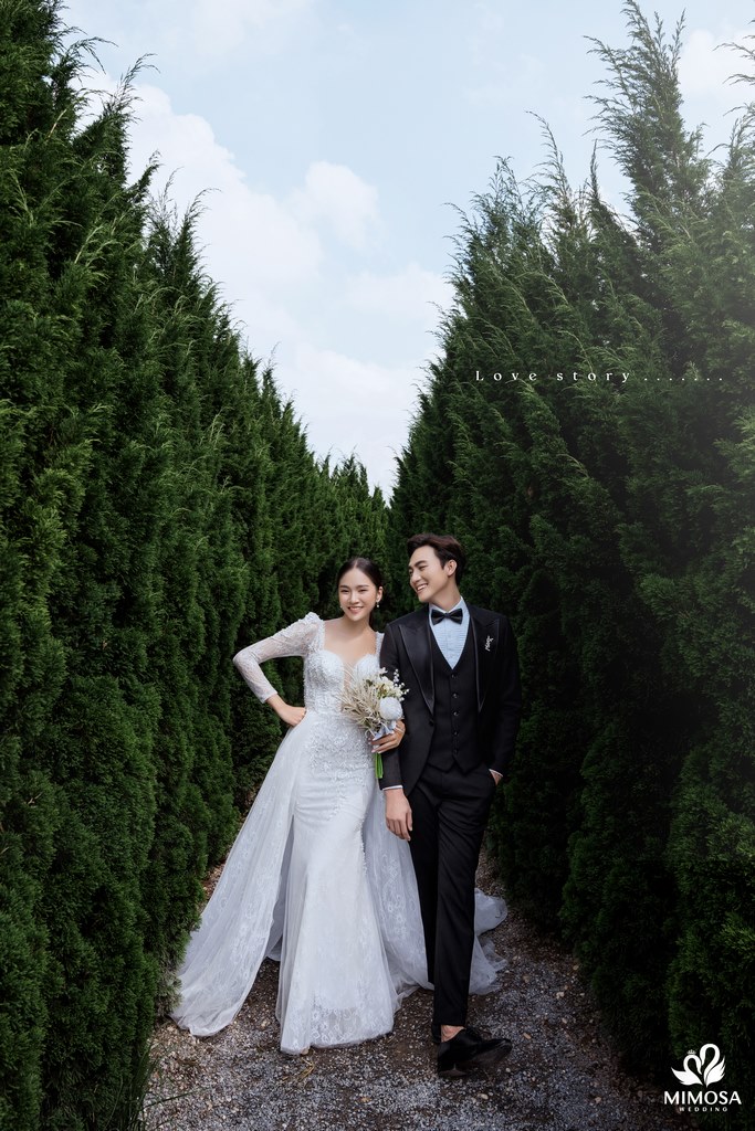 concept chụp ảnh cưới hàn quốc